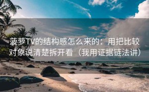 菠萝TV的结构感怎么来的：用把比较对象说清楚拆开看（我用证据链法讲）