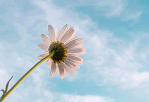 神马影视一页讲义：主题把因果拆开，用我用三步法复盘写清楚，神马oa